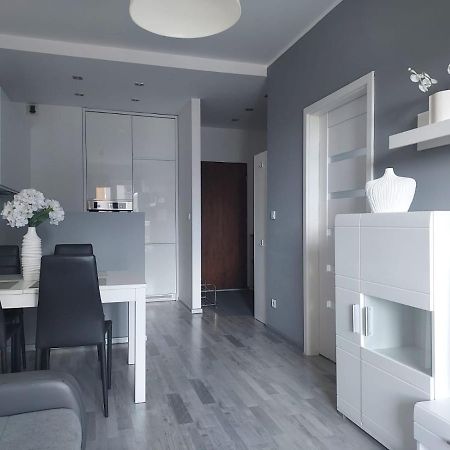 Modern Apartment - Francuska Park Katowice Kültér fotó